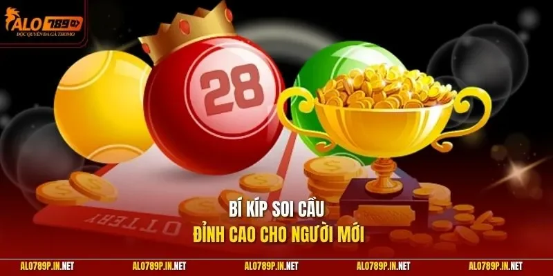 Bí kíp soi cầu đỉnh cao cho người mới