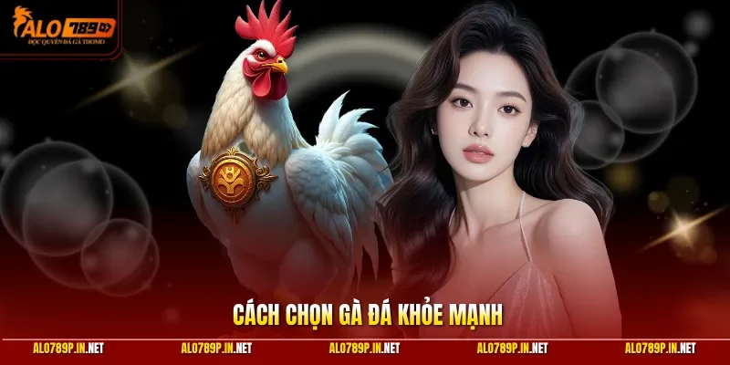 Người chơi nên chú trọng vệ sinh chuồng trại định kỳ hàng tuần