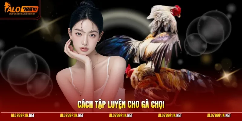 Cách tập luyện cho gà chọi