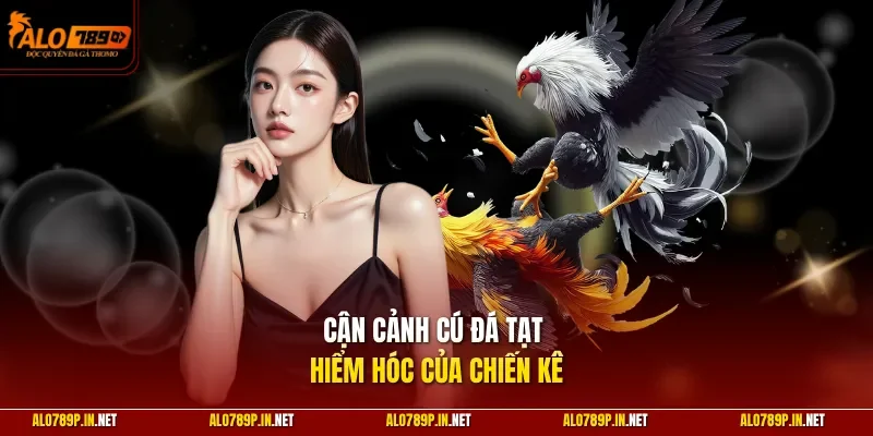 Cận cảnh cú đá tạt hiểm hóc của chiến kê