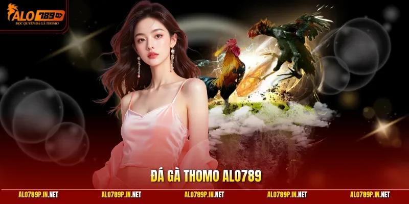 Đá gà Thomo