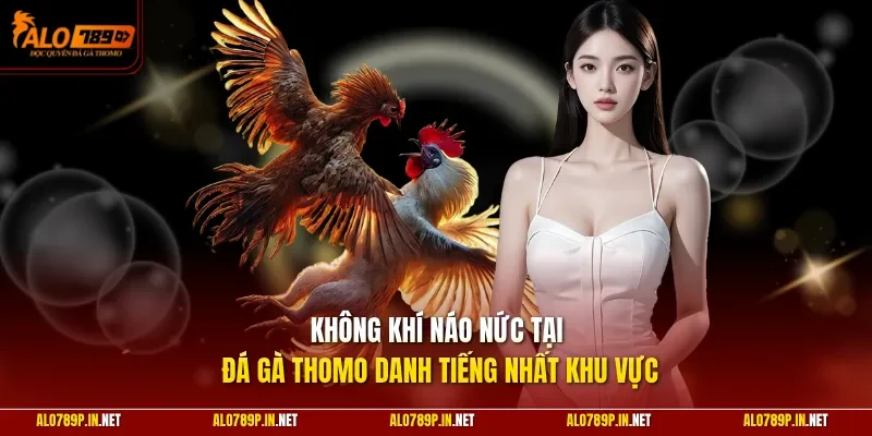 Không khí náo nức tại đá gà Thomo danh tiếng nhất khu vực