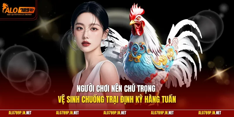 Người chơi nên chú trọng vệ sinh chuồng trại định kỳ hàng tuần