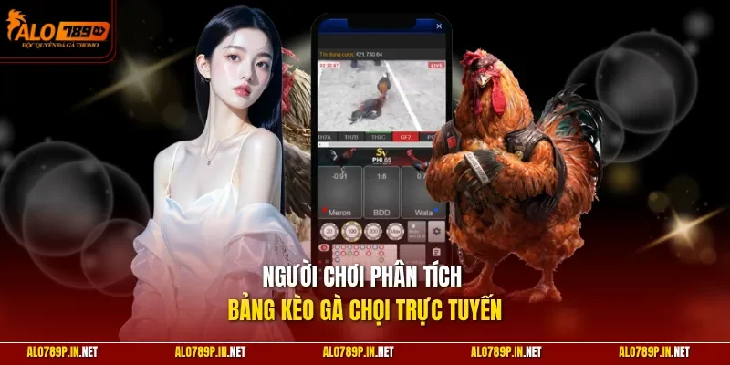 Người chơi phân tích bảng kèo gà chọi trực tuyến