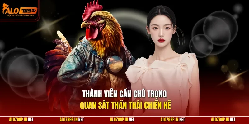 Thành viên cần chú trọng quan sát thần thái chiến kê