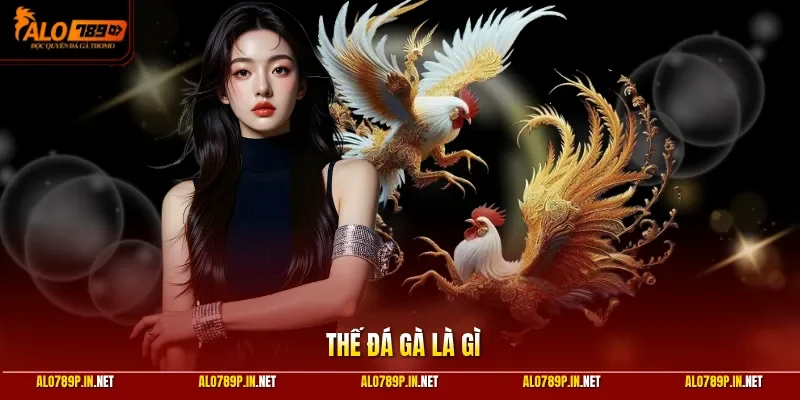 Thế đá gà là gì