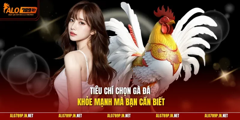 Tiêu chí chọn gà đá khỏe mạnh mà bạn cần biết