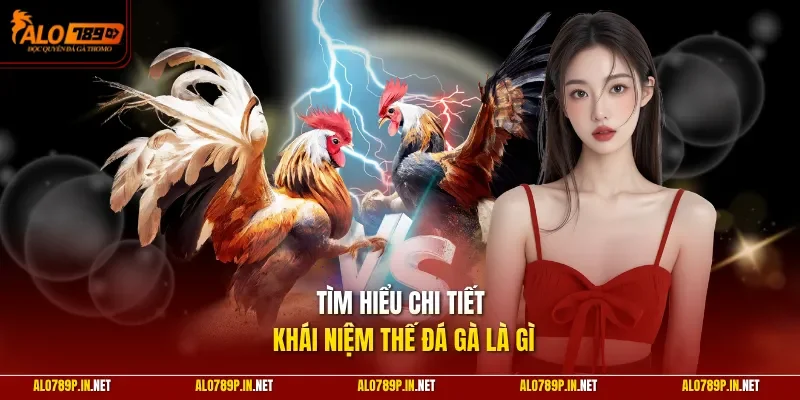 Tìm hiểu chi tiết khái niệm thế đá gà là gì