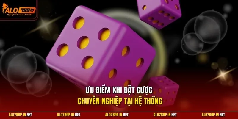 Ưu điểm khi đặt cược chuyên nghiệp tại hệ thống